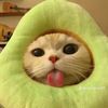 cuevicbwizgwibcc