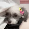 rbcrhp