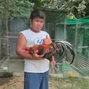 ran.santos4