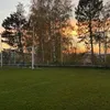 alina.dienstl0