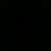 georgi_medarov