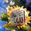 islamic.videos664