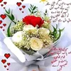 ajaz.ahmad7505