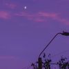 alwishane_8