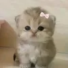 myyyeuu1
