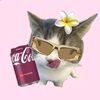 user66092032816228