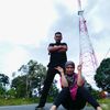 safrymarny