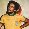 tailynnaicker_