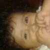 nosoydani_d