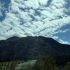 lex_7690