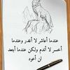 abdelrhman.elshae6