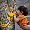 ali.raza09653
