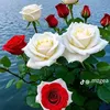 mmmmxx.m