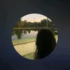 vieira_barb2ra