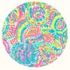 lunasandy26