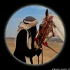 alaa.alaa9165