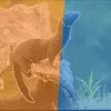 c4l1c00nwh33lz