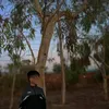 djvvjxjx616o