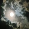 fatima_alik99