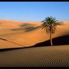 khaled.hafed5