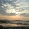 mollie_xx1