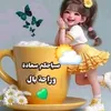 user8275047768634