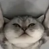 .nuka3