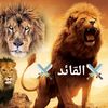 user42811136530287