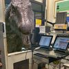 dinosaursarecool3846