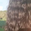 adrianasantana37740