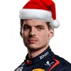 33verstappen3