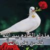 user44529103985582