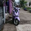 fadill229_