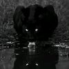 user.qulamzade