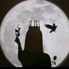 aseel_4410