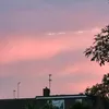 siennazspam_