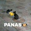 xauspa
