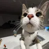 therealkatie123