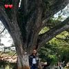 jhonatan.cruz040