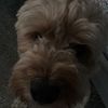 .bobbym27