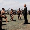 labourmaori