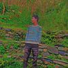 sajjan952