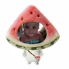 gianlalabs
