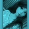 butterfly_1297