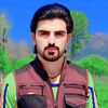 tufail306