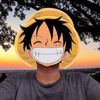 mrkangarukara