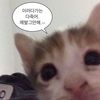 user773419610130