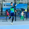 pickleball.beclin