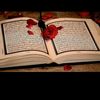 user763448205