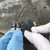 zeantaa48